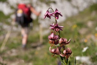 StM_20110712_1217