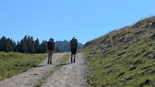 PXL_20250629_145322651