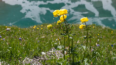 StM_20130716_4722_16_9