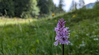 PXL_20250630_081043609