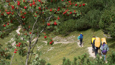 StM_20130920_00440_16_9