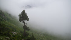 StM_20140721_01228