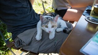 StM_20160831_05291_k