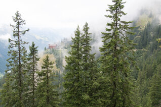 StM_20130919_00354
