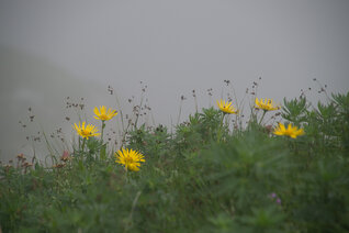 StM_20140721_01221